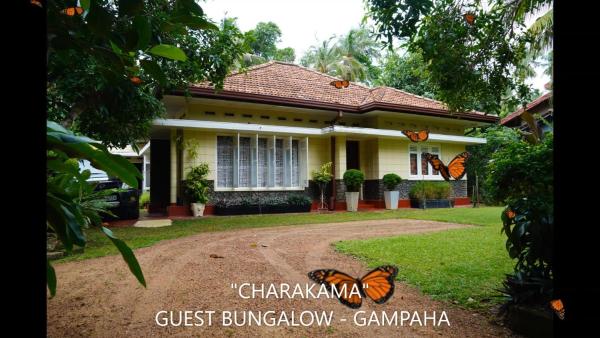 CHARAKAMA Guest Bungalow - GAMPAHA, จอง เกสท์เฮาส์ Minuwangoda Gampaha District