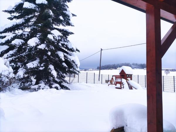 Ferienhaus am Hochficht Mühlviertel in Oberösterreich, จอง วิลล่า Freundorf Upper Austria