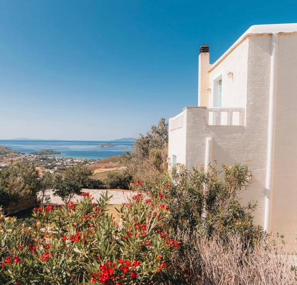 Villa Il Paradiso Andros, จอง  Gavrio Andros Island