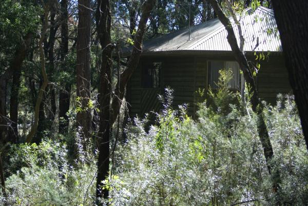 Twin Falls Bush Cottages, จอง เกสท์เฮาส์ Kangaroo Valley South Coast