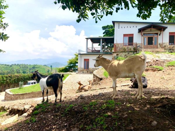 Amazi Land Home and Farm Stay, จอง  Kibuye Gitsi