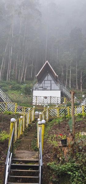 The Soul Of Vattavada, จอง  Vattavada นิวเดลี