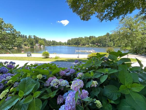 Mountain Lake Cottages, จอง  Hendersonville รัฐนอร์ทแคโรไลนา