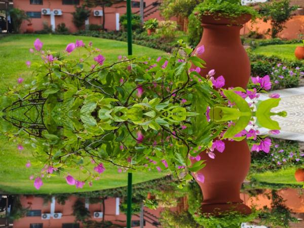 Gratitude Lodge, จอง  โกโตนู 