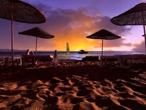 Çiçek Evler Tatil Köyü, จอง  Armutlu อิสตันบูล, ใกล้กับ Armutla Creek Beach