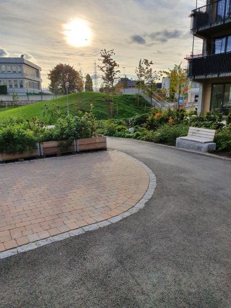The Golden Park, จอง  ออสโล Oslo County