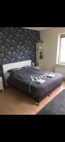 De Groene Oase, จอง  Harkstede Groningen