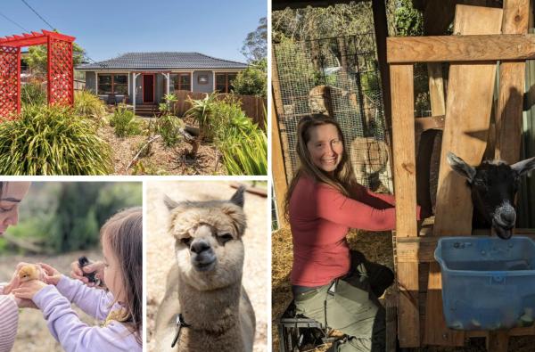 Blue Mountains Urban Farm Stay near Sydney, จอง  Hazelbrook นิวเซาท์เวลส์