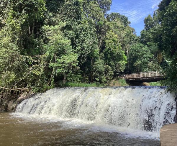 Malanda Falls Retreat, จอง  Malanda รัฐควีนส์แลนด์