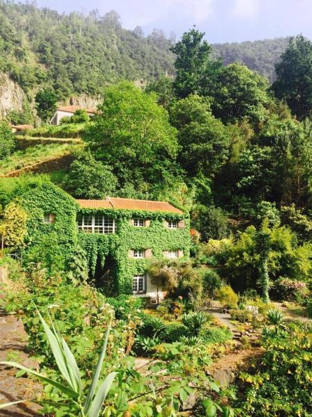 Moinho do Comandante, จอง พักในฟาร์ม ไฟยัล Madeira Islands
