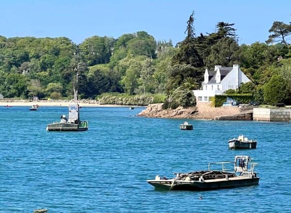 BB les pieds dans L\eau CARANTEC, จอง  Carantec Finistère