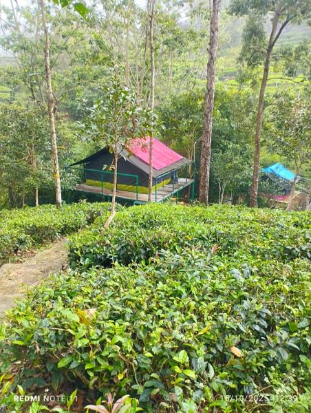 Organic Farmers Tent & Trekking, จอง  Yedapalli Tamil Nadu