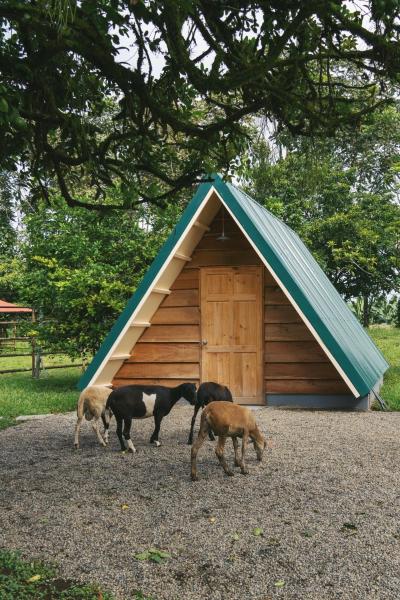 Musasana Wellness Farm, จอง  Puerto Viejo Heredia
