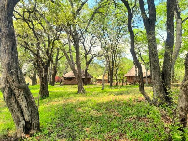 River Range Camp, จอง  Pandamatenga ซิมบับเว