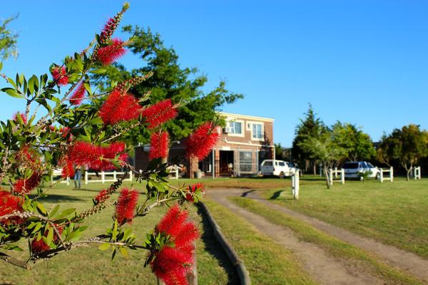 African Adventures Accommodation, จอง  Joostenberg Vlakte Western Cape
