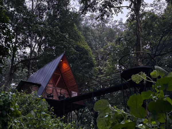 Wildvibes India, จอง  Meppādi Wayanad