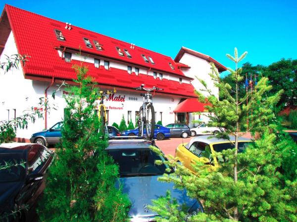 Pensiunea Casa Matei, จอง เกสท์เฮาส์ Paclele Buzau